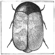 Week 1: Ton Naaijkens