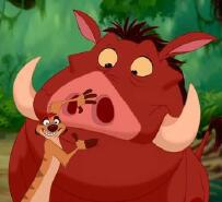 Nederlands en Nederlands