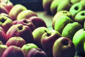 Week 10: Vera Magnússon