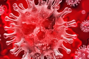 Week 24: Isabelle Bambust