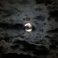 Week 42: Onno Kosters