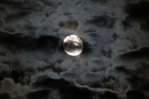 Week 42: Onno Kosters