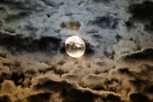 Week 43: Onno Kosters