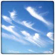 Week 0: Ton Naaijkens