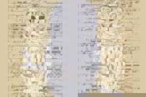 Week 5: Harm-Jan van Dam