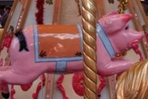 Week 22: Saskia Vandenbussche