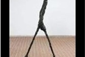 Week 34: Ton Naaijkens