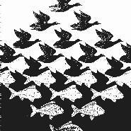 Week 44: Hedda Martens