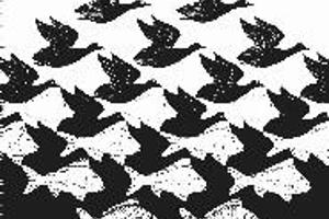 Week 44: Hedda Martens