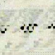 Week 5: Robbert-Jan Henkes