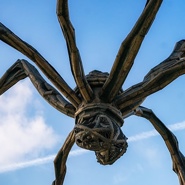 Week 9: Fabian R.W. Stolk