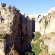 Week 13: Saskia Vandenbussche