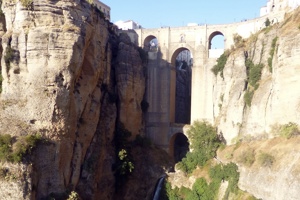 Week 13: Saskia Vandenbussche