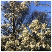 FILTER VERTAALPRIJS OP ILFU 2022