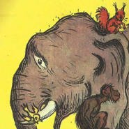 Week 19: Robbert-Jan Henkes