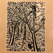 Week 21: Ton Naaijkens