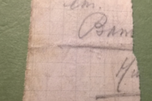 Week 17: Isabelle Bambust