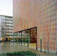 Week 31: Ton Naaijkens