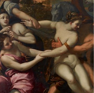 Week 47: Désirée Schyns