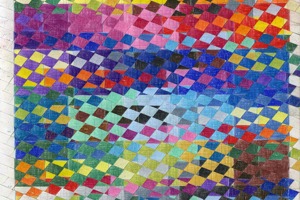 Week 51: Ton Naaijkens