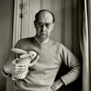 Week 18: Cees Koster