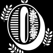 Week 22: Gys-Walt van Egdom